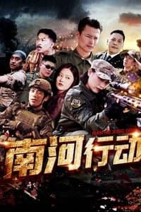 南河行动