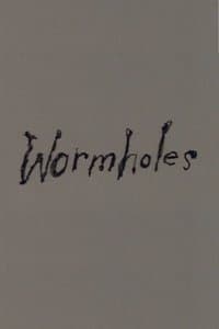 Wormholes