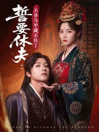 誓要休夫: 王爷马甲藏不住了